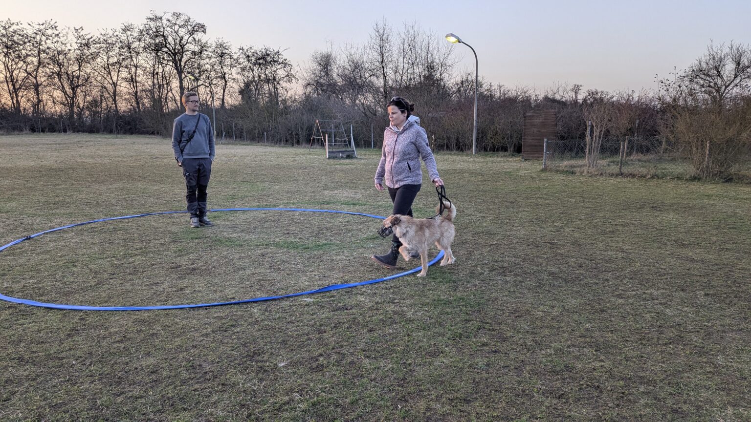 körpersprachliches Longieren mit Hund auch mit Maulkorb