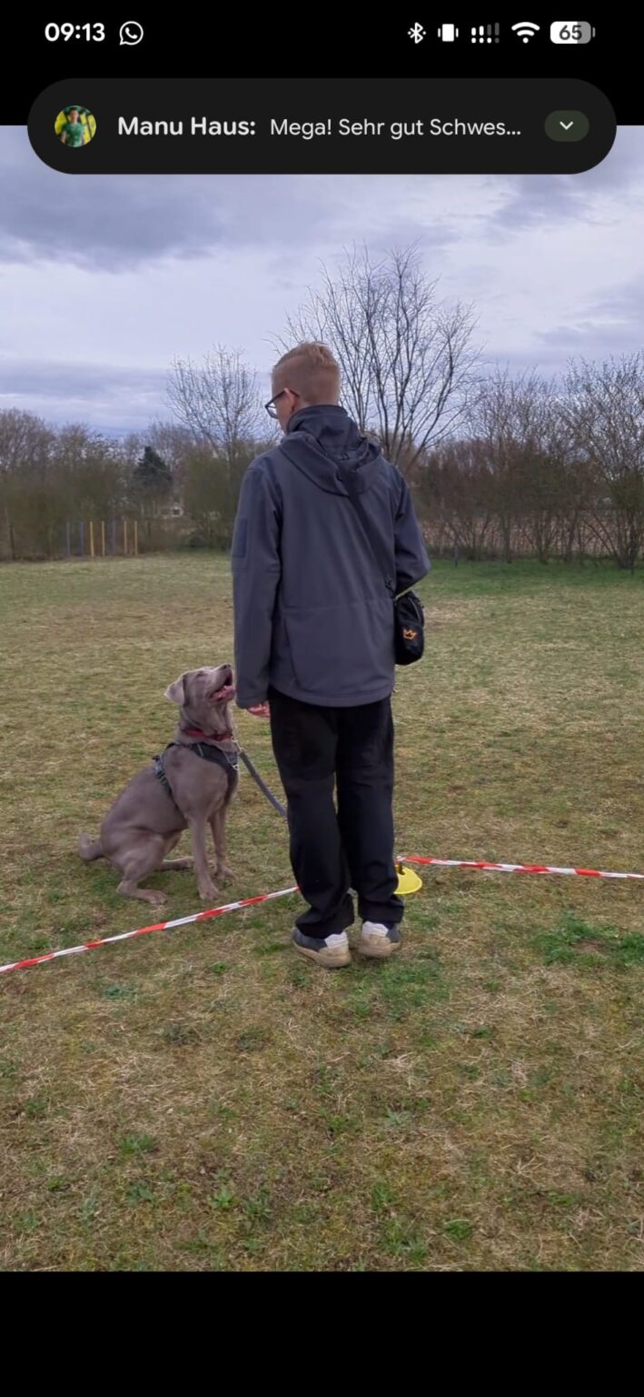 Longieren mit Hund Beschäftigung in der Hundeschule Yvonne Deffner